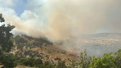 Silvan’da alevler ormana ulaştı: Ekipler bölgede