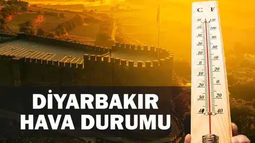 Diyarbakır'da sıcaklık alarmı: Termometreler 43 dereceyi gördü, uzmanlardan kritik uyarı