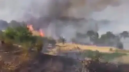 Diyarbakır’da yerleşim yakınında yangın: Üzüm bağları zarar gördü