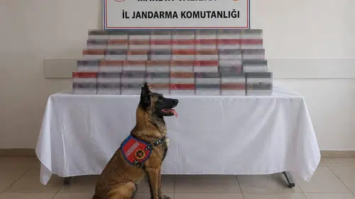 Mardin genelinde düzenlenen operasyonlarda 8 milyon liralık kaçak ürün yakalandı