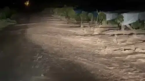 Elazığ'da sağanak yağış üzüm bağlarını sular altında bıraktı