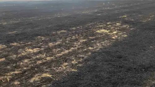 Kovancılar'da tarım arazisinde çıkan yangın korkuttu