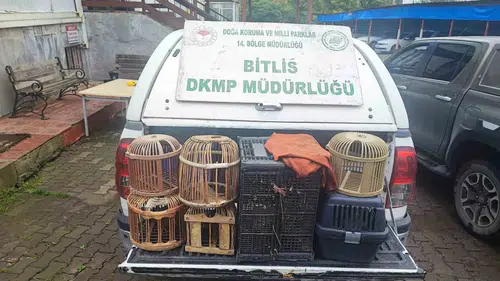 Bitlis Güroymak'ta kaçak avlanan keklikler yeniden özgürlüğüne kavuştu
