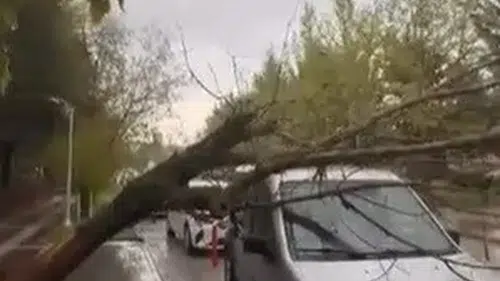 Elazığ'da şiddetli fırtına park halindeki araca zarar verdi