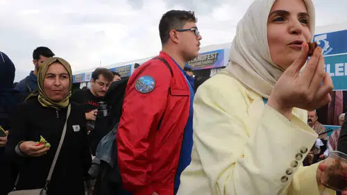 TEKNOFEST Şanlıurfa'da sıra gecesi coşkusuyla renkli anlara sahne oldu