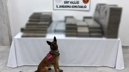 Siirt jandarmasından kömür çuvalları arasına gizlenmiş kaçak sigara operasyonu