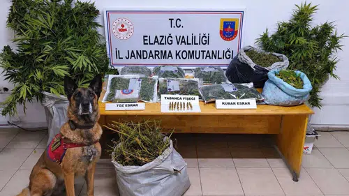 Elazığ kırsalında uyuşturucu operasyonu düzenlendi