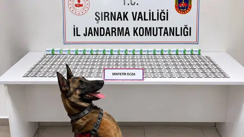 Şırnak jandarmasından geniş çaplı operasyon: 12 kişi cezaevine gönderildi