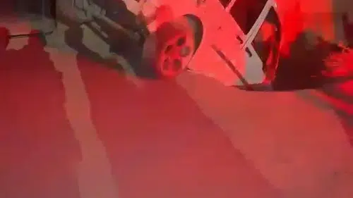 Doğubayazıt yolunda büyükbaş hayvanlara çarpan otomobildeki üç genç yaralandı