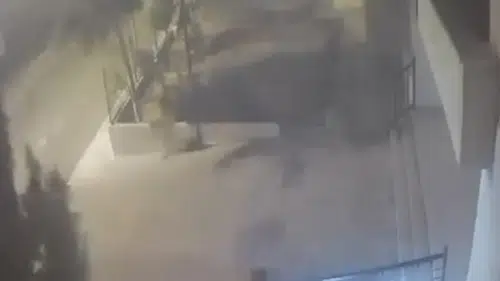 Mardin’de devrilen ağaçtan 10 saniyeyle kurtuldu: O anlar kamerada