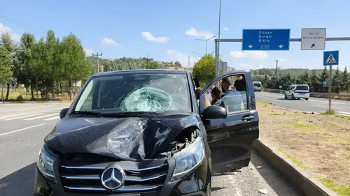 Diyarbakır'da yolun karşısına geçmeye çalışan kadın araç çarpması sonucu hayatını kaybetti
