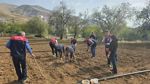 Tunceli'de tarım ekipleri 70 yaşındaki üreticinin sarımsak tarlasına koştu