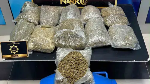 Siirt'te narkotik operasyonu: 5 kilo 700 gram skunk ele geçirildi