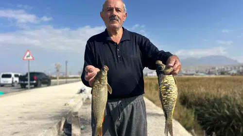 Van Gölü kıyısındaki sazlıklar amatör balıkçıların yeni uğrak noktası oldu