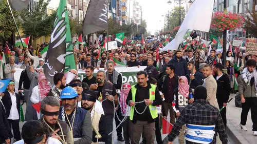 Van sokakları Filistin'e destek için bir araya geldi