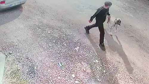 Siverek'te Kangal cinsi köpeğin çalınma anı güvenlik kamerasına yansıdı