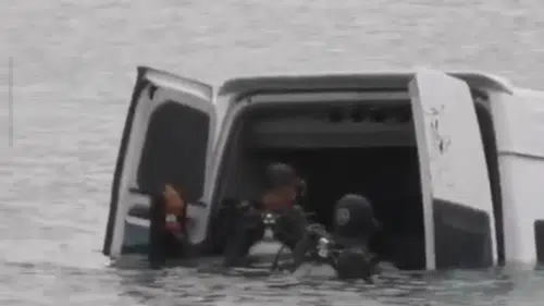 Van'da göle uçan minibüsün sürücüsü kendi çabasıyla kurtuldu