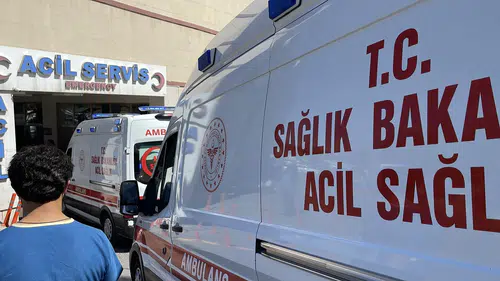 Siverek'te hayvan otlatan çobana yıldırım isabet etti
