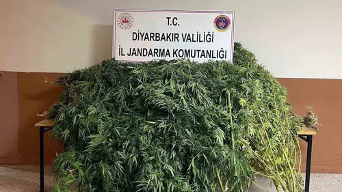 Diyarbakır'da jandarmadan büyük uyuşturucu operasyonu