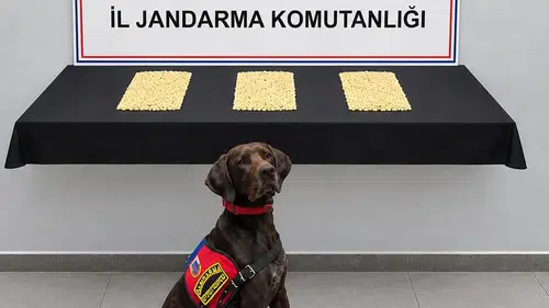 Şanlıurfa Eyyübiye'de uyuşturucu operasyonu sonucu binlerce hap yakalandı