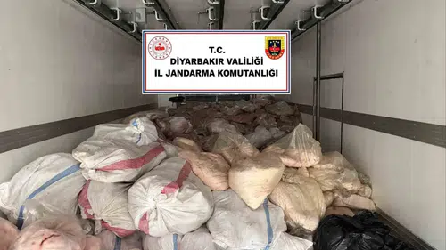 Diyarbakır Çınar'da sağlıksız koşullarda taşınan 8 ton sakatata el konuldu