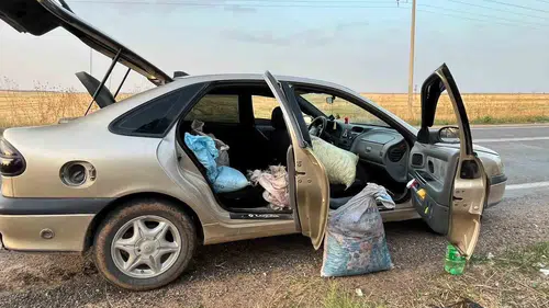 Şanlıurfa'da TİGEM bahçesinden fıstık çalan 4 kişi suçüstü yakalandı