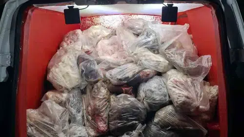 Diyarbakır'da sağlıksız koşullarda taşınan 820 kilo sakatat ve yağa el konuldu