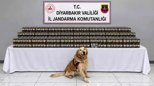 Diyarbakır genelinde düzenlenen kaçakçılık operasyonlarında 29 kişi yakalandı