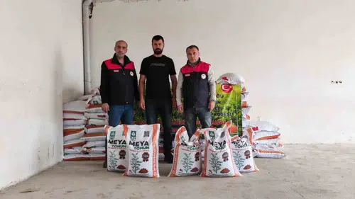Palu ilçesinde çiftçilere yüzde 70 hibeli kırmızı mercimek tohumu desteği