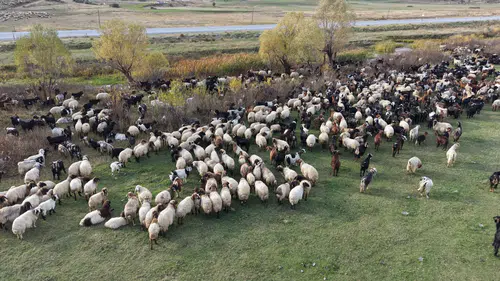 Van ve Bitlis yaylalarından göçerlerin zorlu dönüş yolculuğu başladı