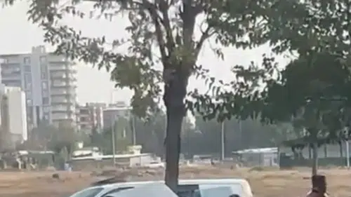 Siverek yolunda kontrolden çıkan otomobil ağaca çarparak ikiye bölündü