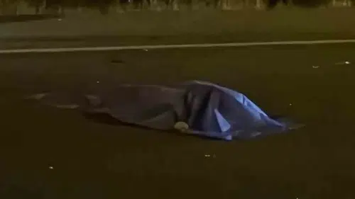 Tunceli Pertek karayolunda meydana gelen trafik kazasında bir kişi yaşamını yitirdi