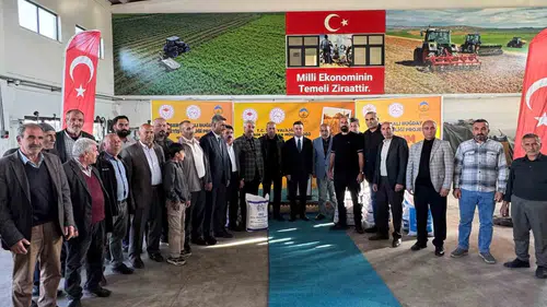 Ağrı'da çiftçilere 550 ton sertifikalı buğday tohumu desteği verildi