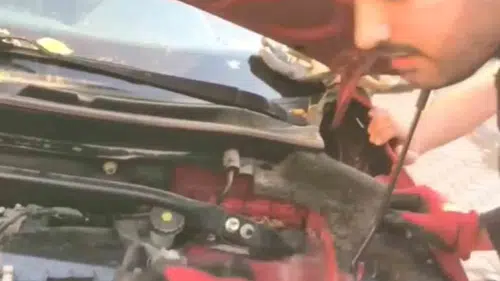 Diyarbakırda otomobilin motoruna sığınan üç yavru kedi kurtarıldı