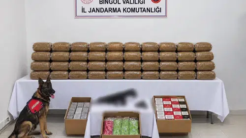 Bingöl'de aranan 4 hükümlü yakalandı ve çok sayıda suç unsuru ele geçirildi