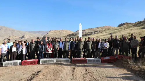 Batman Hasankeyf kırsalında doğaya ceylan ve kınalı keklik salındı