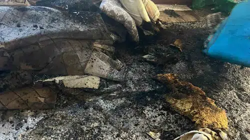 Gevaş ilçesinde bir evde çıkan yangın korku dolu anlar yaşattı