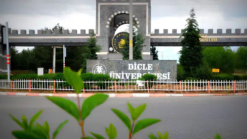 Dicle Üniversitesi kadro açtı: Öğretim görevlisi ve araştırma görevlisi alınacak