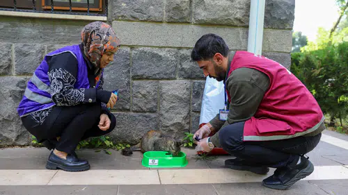 Diyarbakır'da anlamlı farkındalık çalışması: Sokak hayvanlarına dikkat çekildi