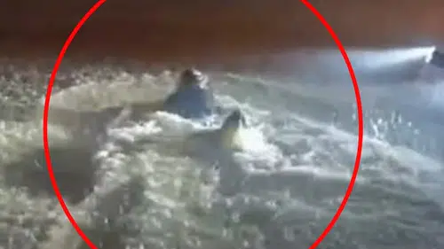 Midyat’ta hayat durma noktasına geldi: Sel sularını havuz sanıp kulaç attı