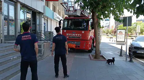 Batman sokaklarında kedilerin dostluk sınavı