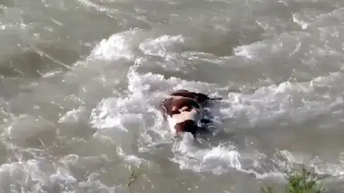 Sason Çayı’nda ölü hayvan tehlikesi korkutuyor