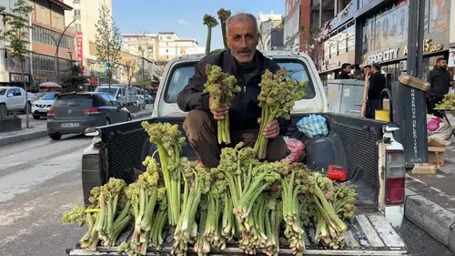 Yüksekova pazarlarında yayla muzu bereketi