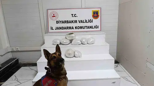 Diyarbakır genelinde büyük uyuşturucu operasyonu