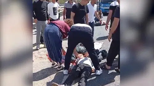 Şanlıurfa yolunda feci kaza Kurbanlık taşıyan araç devrildi