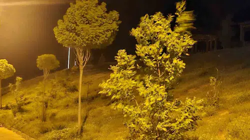 Elazığ geceyi fırtınayla geçirdi