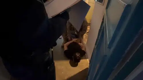 Diyarbakır merkezli dev operasyonda 279 zehir taciri tutuklandı