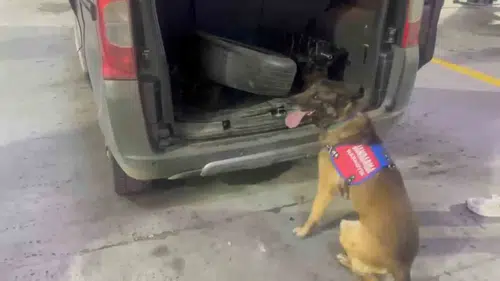 Tunceli yolunda uyuşturucu operasyonu Kaputun altına gizlenmiş esrar yakalandı
