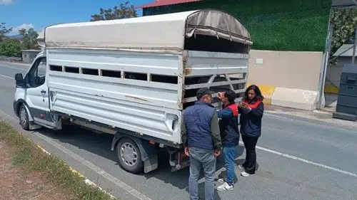 Elazığ yollarında kurbanlık hayvan sevkiyatına yakın takip