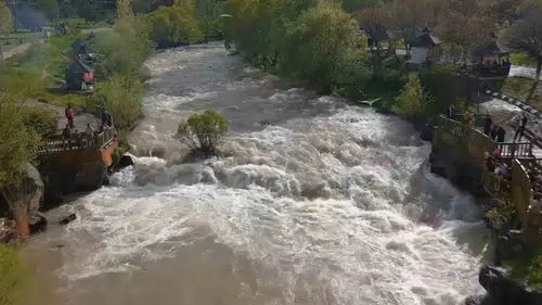 Van Gölü'nün uçan balıkları bu yıl rotayı geciktirdi